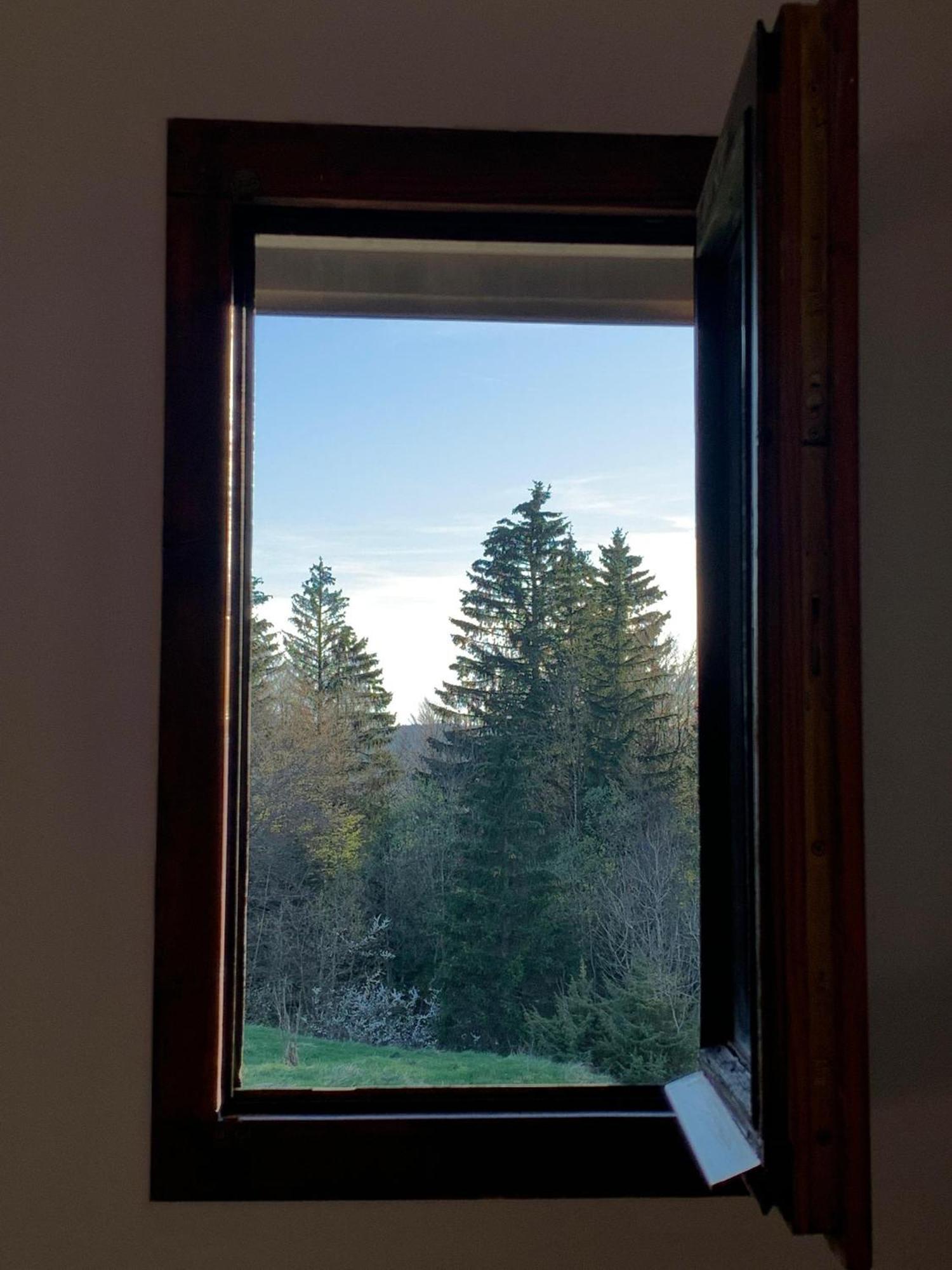 Chaleureux Appartement Avec Balcon Au Coeur Des Rousses Les Rousses Extérieur photo